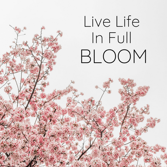 Time To Blossom!